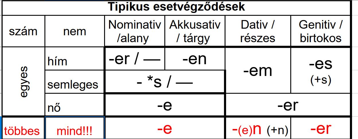 Névelők és esetek